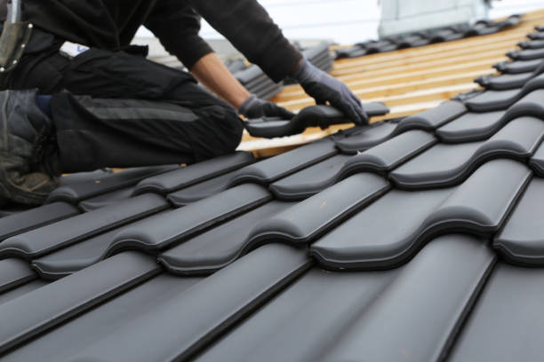 Best Green or Eco-Friendly Roofing Solutions  in Nes, IL